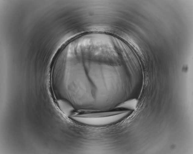 X0000098210992200805081130