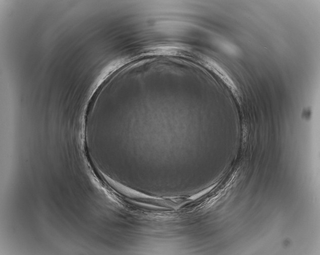 X0000098210994200805081130