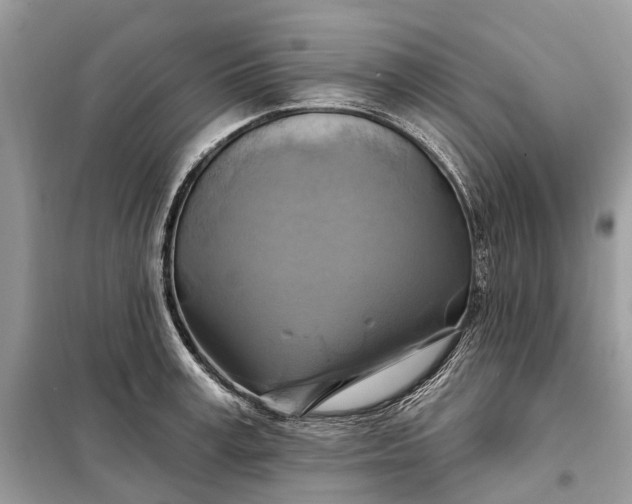 X0000098210995200805081130