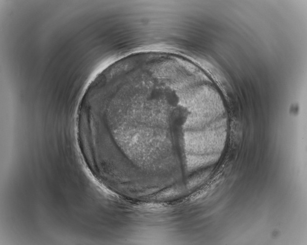 X0000098210998200805081130
