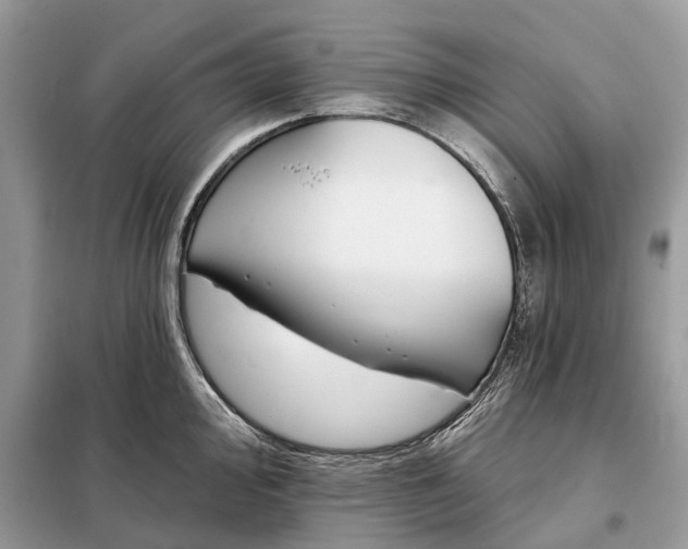 X0000098211000200805081130