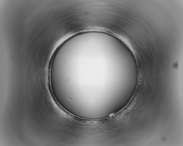 X0000098211003200805081130