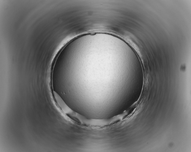 X0000098211005200805081130