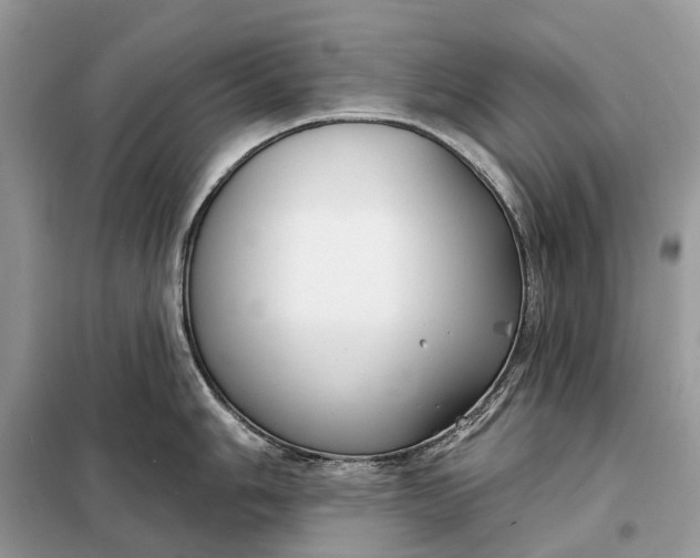 X0000098211006200805081130