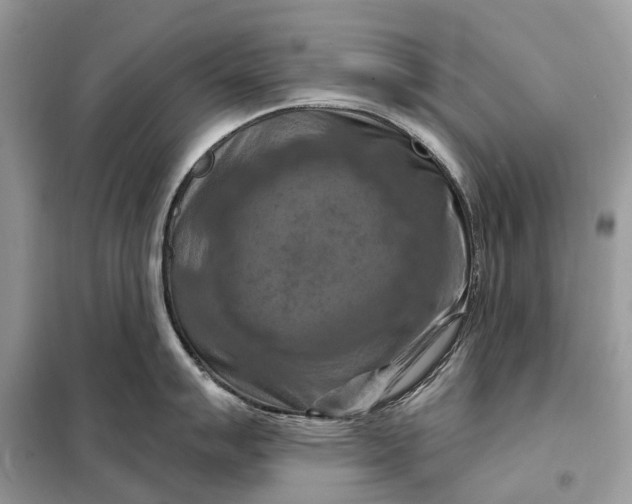 X0000098211007200805081130