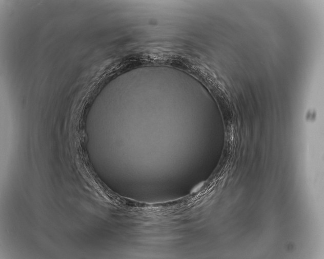 X0000098211009200805081129