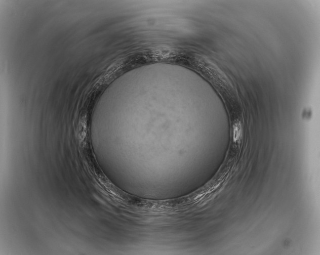 X0000098211011200805081130