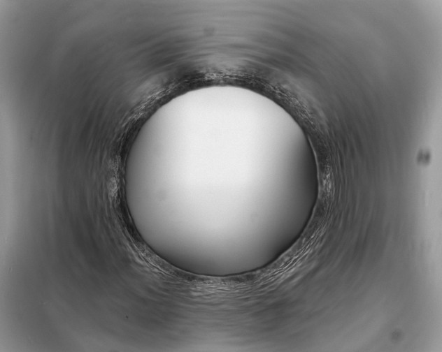 X0000098211012200805081130
