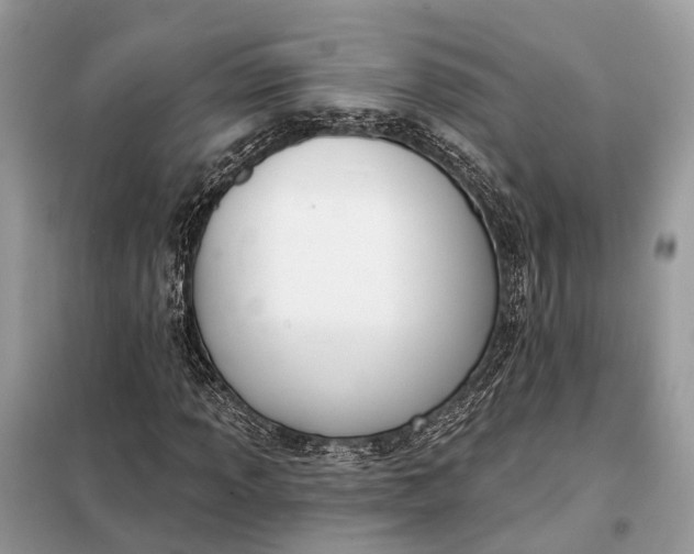 X0000098211013200805081130