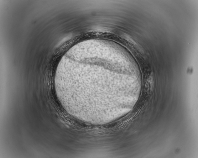 X0000098211014200805081130