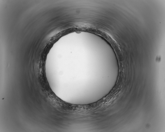 X0000098211016200805081130