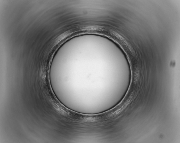 X0000098211017200805081130