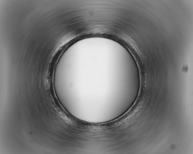 X0000098211018200805081130