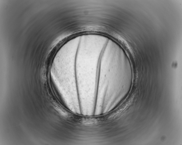 X0000098211019200805081130