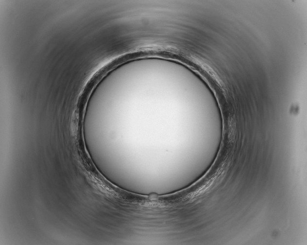 X0000098211021200805081130
