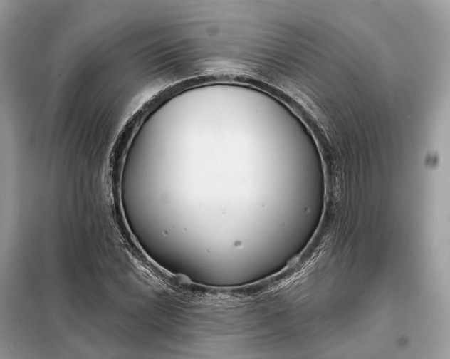 X0000098211022200805081130