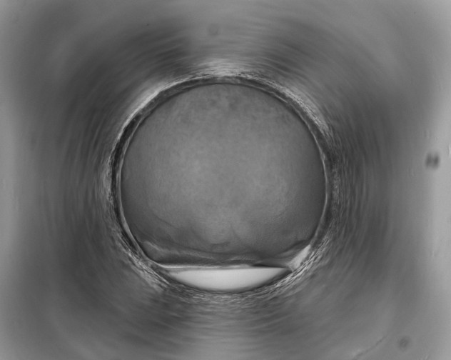 X0000098211023200805081130