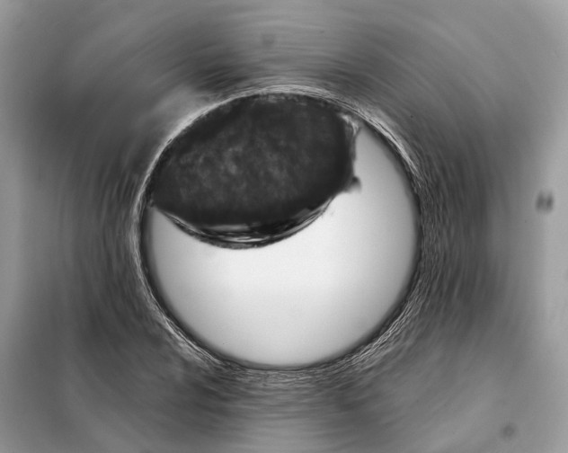 X0000098211024200805081130