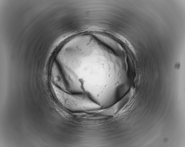 X0000098211027200805081130