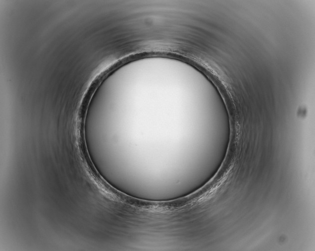 X0000098211029200805081130