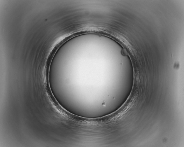 X0000098211030200805081130