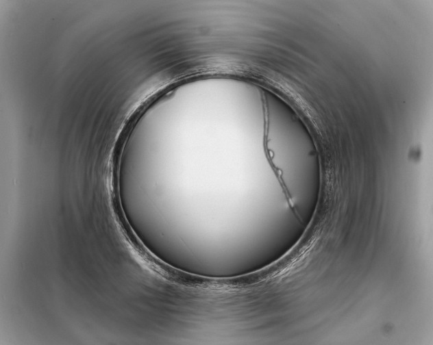 X0000098211034200805081130