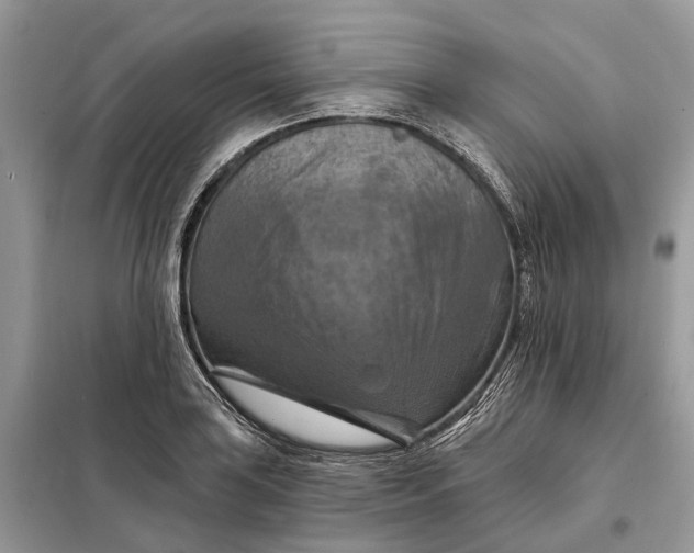 X0000098211035200805081130