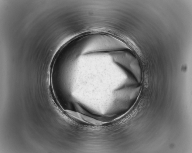 X0000098211036200805081130