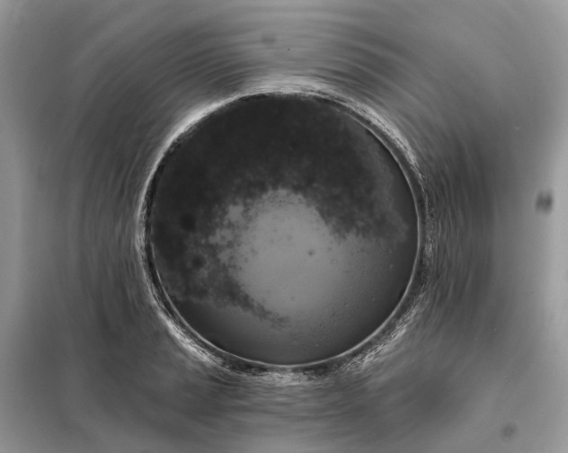 X0000098211037200805081130