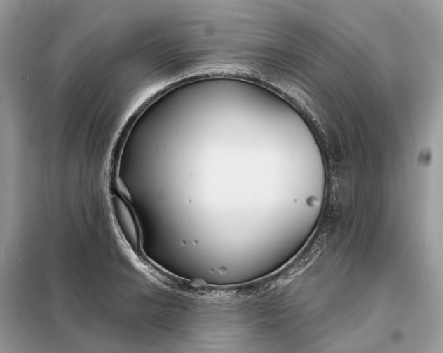 X0000098211038200805081130