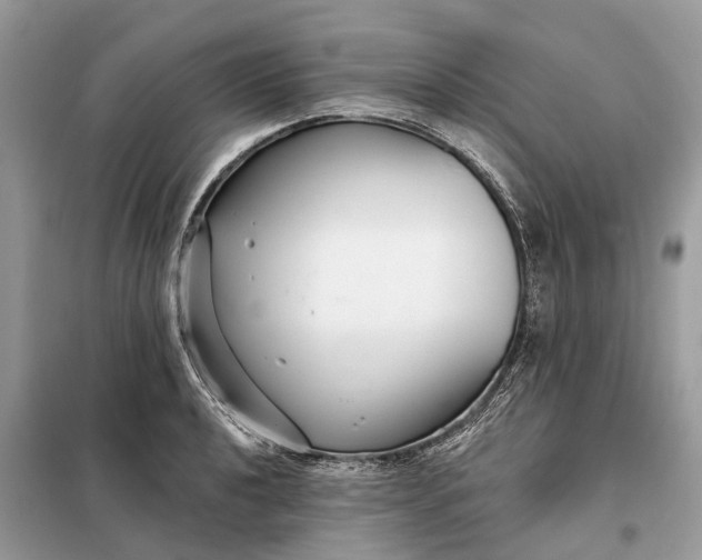 X0000098211040200805081130