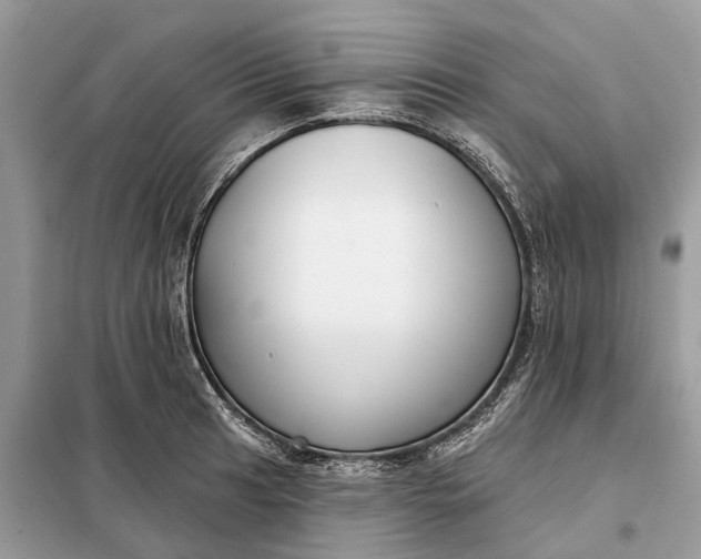 X0000098211041200805081130