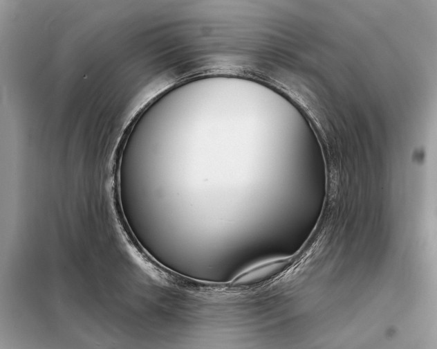 X0000098211042200805081130