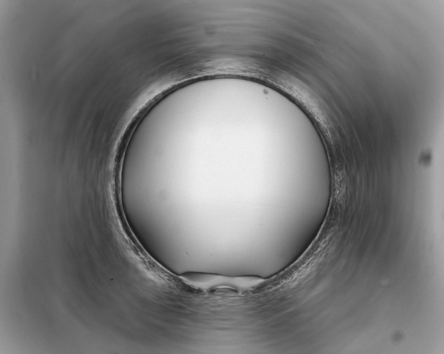 X0000098211043200805081130