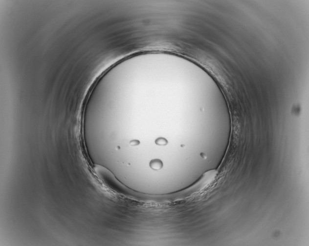 X0000098211044200805081130