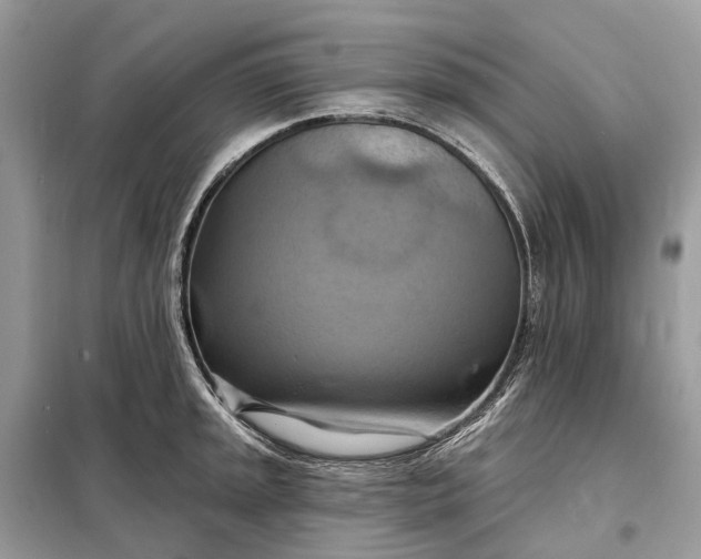 X0000098211045200805081130
