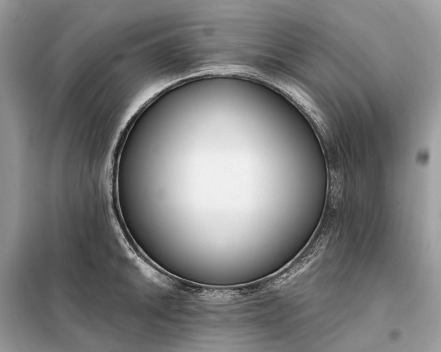 X0000098211046200805081130