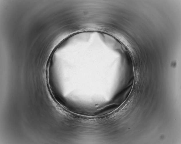 X0000098211047200805081130