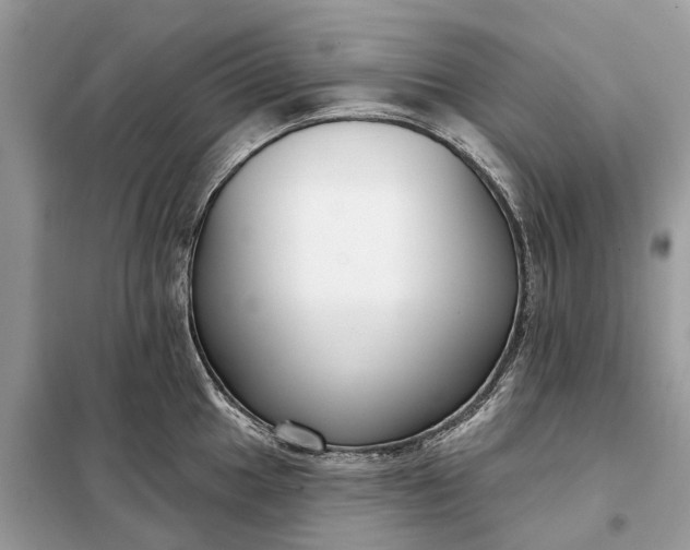 X0000098211049200805081130