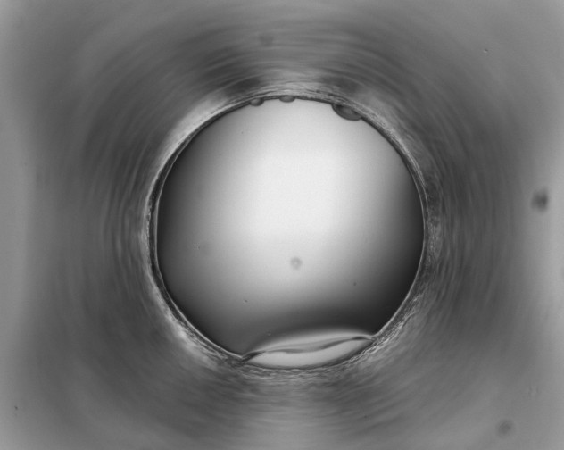 X0000098211050200805081130