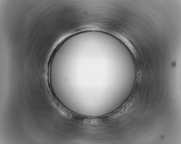 X0000098211051200805081130