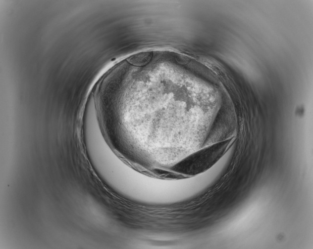 X0000098211052200805081130