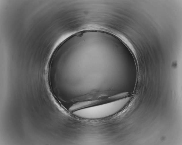 X0000098211053200805081130