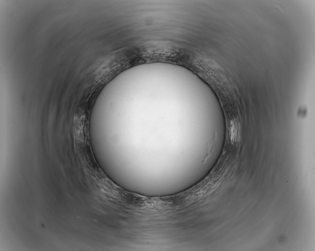 X0000098211059200805081129