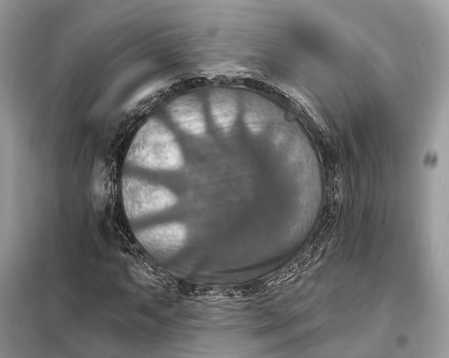 X0000098211063200805081129