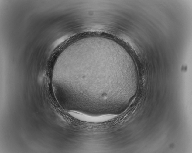 X0000098211064200805081129