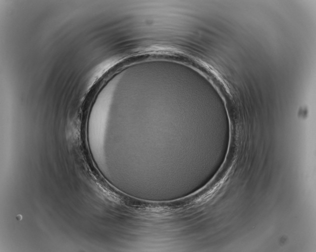 X0000098211066200805081129