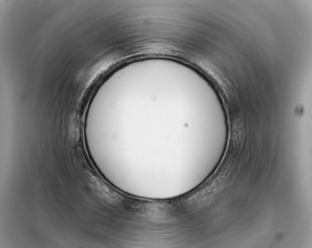 X0000098211067200805081129