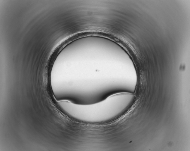 X0000098211069200805081129