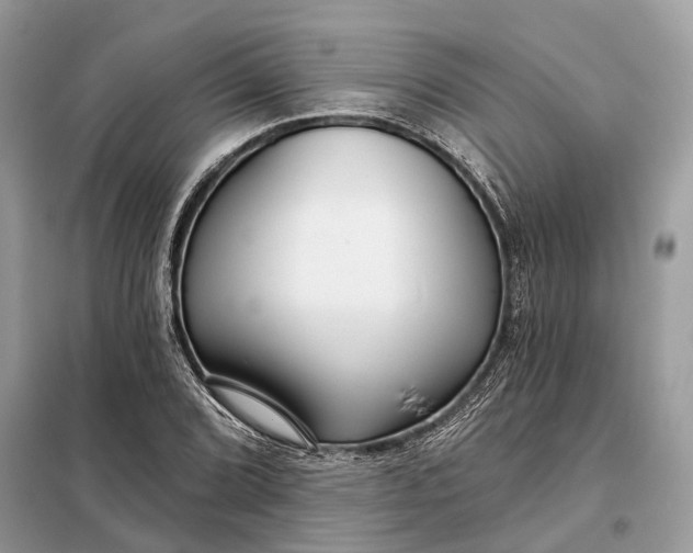 X0000098211072200805081129